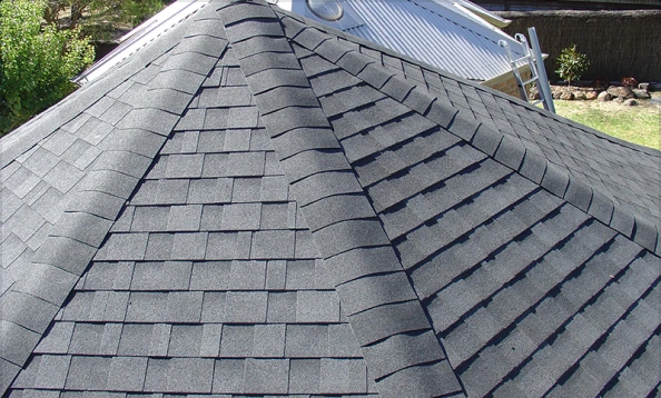 Asphalt/Shingle roofs